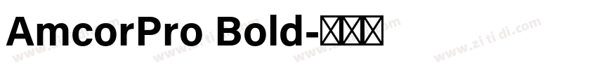 AmcorPro Bold字体转换